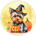 10 Halloween Yorkie Dog Sign, Metal Wreath Sign, Home Decor
