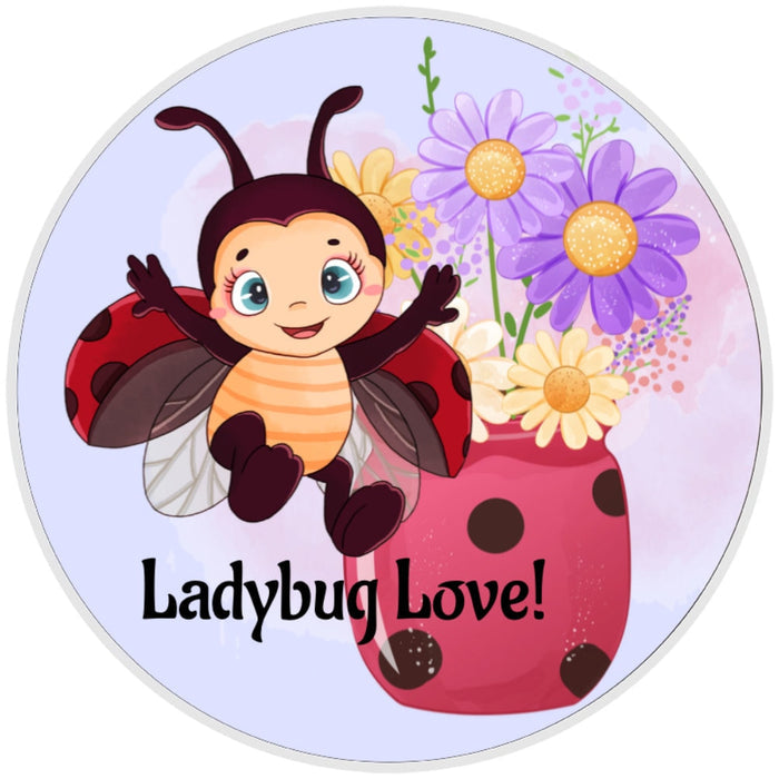 10 Ladybug Love Sign, Wreath Sign, Home Decor