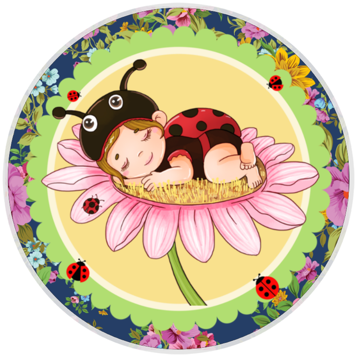 10” Ladybug Sleeping Baby Sign, Home Decor, Aluminum, The Ritzy Cactus