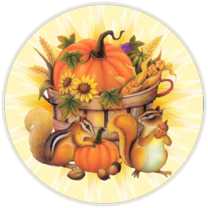10” Squirrel Fall Pumpkin Sign, Home Decor, Aluminum, The Ritzy Cactus