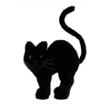 10.75"W x 14.6"H Long Fur Cat with Whiskers Attachment, DIY Supplies, Wreath Attachment