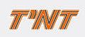 1974 Ski Doo F/A TNT Hood Decal