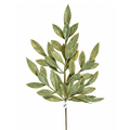 23.5 Inch Plastic Elegance Sage Green Bay Leaf Spray Wreath Greenery