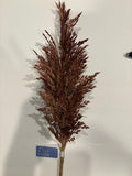 25" Rust Pampas Grass Spray| l Wreath Pick | Wreath Embellishment | DIY Wreath Supply