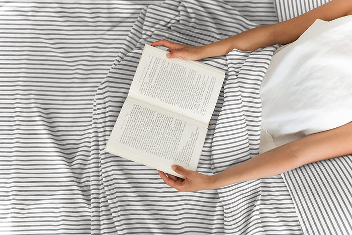 4 Piece Striped Sheet Set - Grey