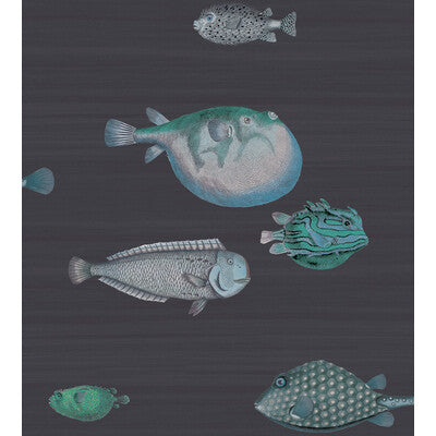 Acquario