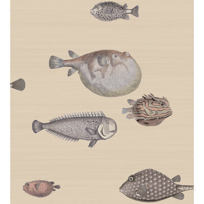 Acquario