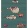Acquario