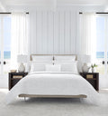 Aldino Collection