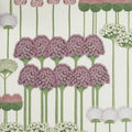 Allium