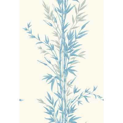 Bamboo