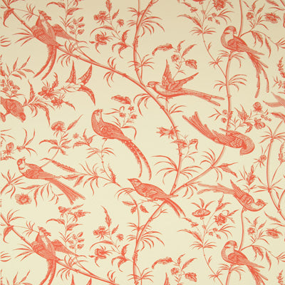 Bengali Wallpaper