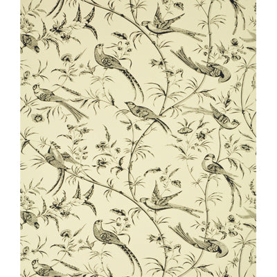 Bengali Wallpaper