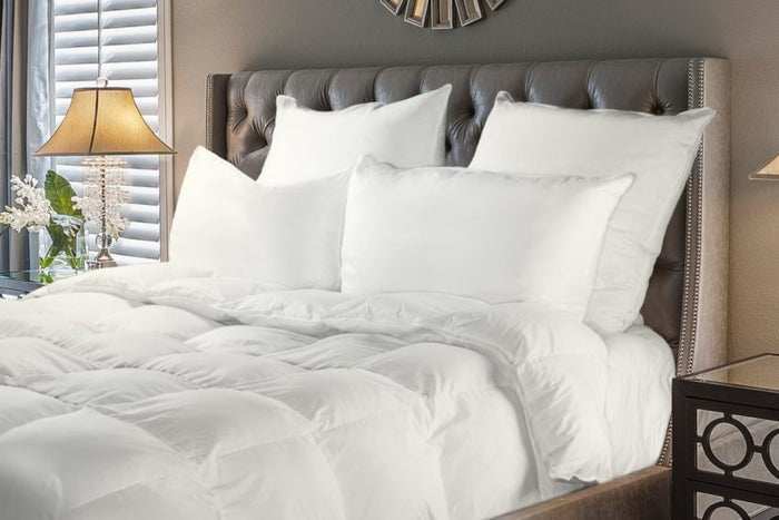Bernina 650 Fill Power White Goose Down European Pillow