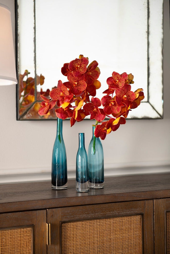 Botella Set of 3 Vases