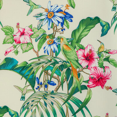 Brunschwig & Fils Anima Print