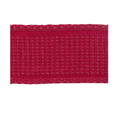 Raspberry