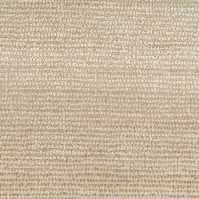 Brunschwig & Fils De Blois Velvet