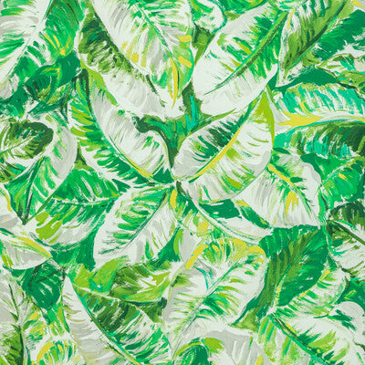 Brunschwig & Fils Diani Print