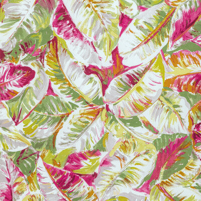 Brunschwig & Fils Diani Print