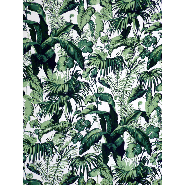 Brunschwig & Fils Feuillage II