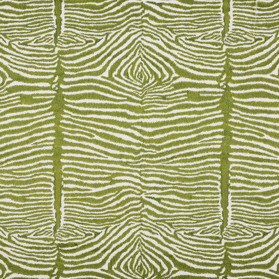 Brunschwig & Fils Le Zebre Emb