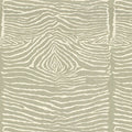 Brunschwig & Fils Le Zebre