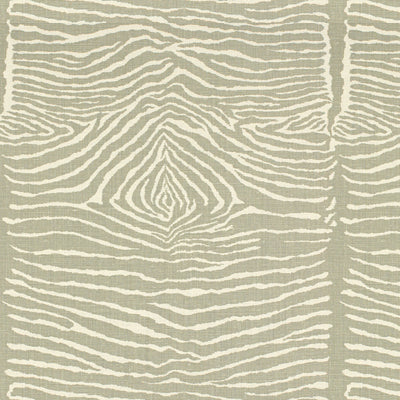 Brunschwig & Fils Le Zebre