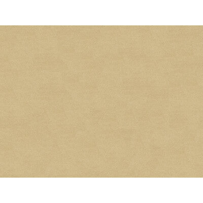 Brunschwig & Fils Lubeck Cotton Velvet