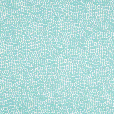 Brunschwig & Fils Nile Print
