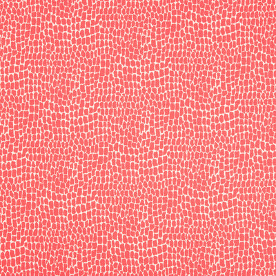 Brunschwig & Fils Nile Print