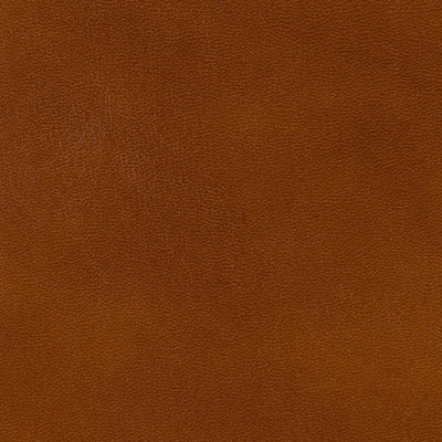 Brunschwig & Fils Old English Antiques Leather