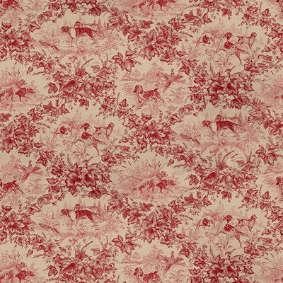 Brunschwig & Fils On Point Cotton Print