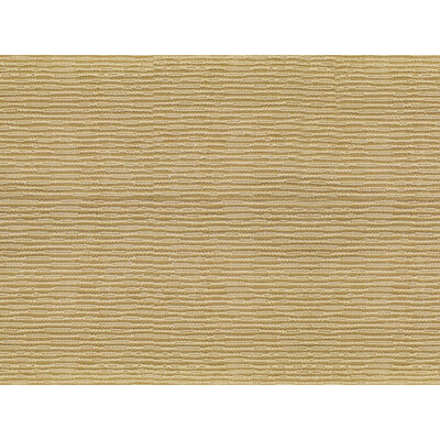 Brunschwig & Fils Roma