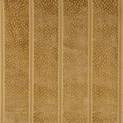 Brunschwig & Fils Salvator Velvet