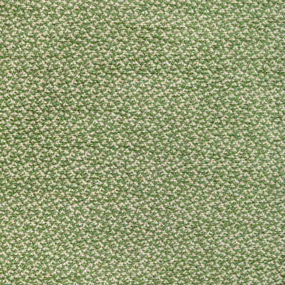Brunschwig & Fils Sasson Texture