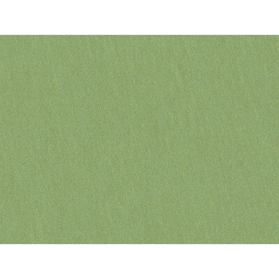 Tarragon