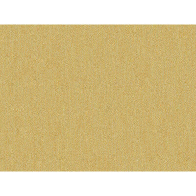 Vicuna