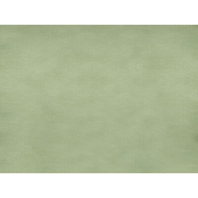 Celadon Green