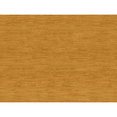 Maize