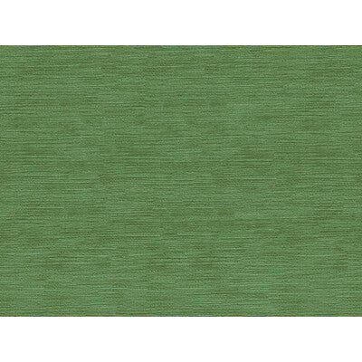 Winter Green
