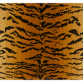 Brunschwig & Fils Tiger Velvet