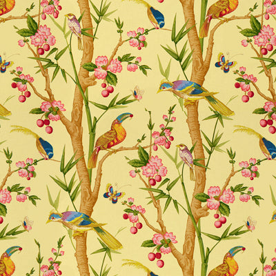 Brunschwig & Fils Toucans