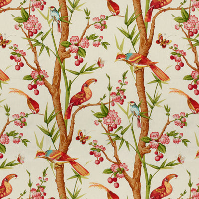 Brunschwig & Fils Toucans