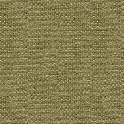 Moss