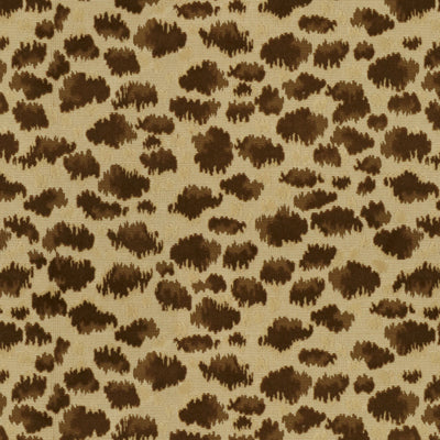 Brunschwig & Fils Zambezi Grospoint