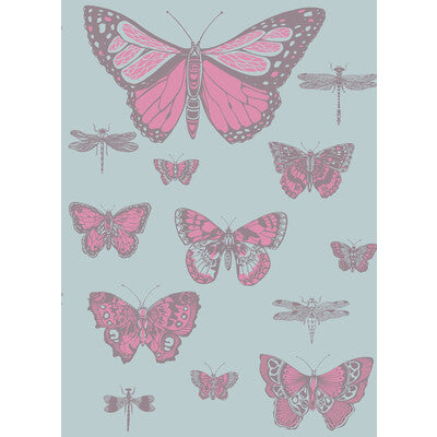 Butterflies & Dragonflies