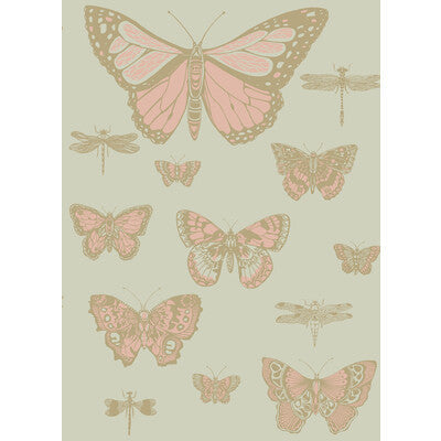 Butterflies & Dragonflies