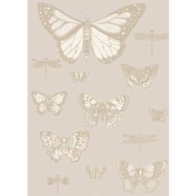 Butterflies & Dragonflies