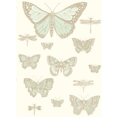 Butterflies & Dragonflies